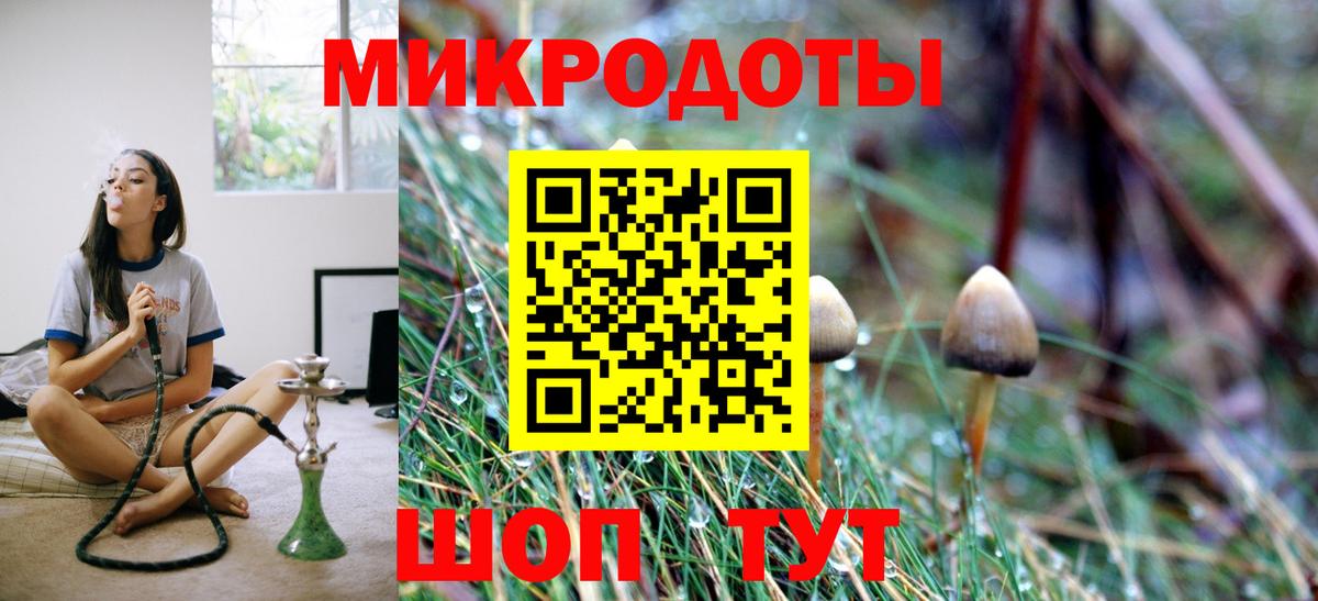 Псилоцибиновые грибы прущие грибы Кириши