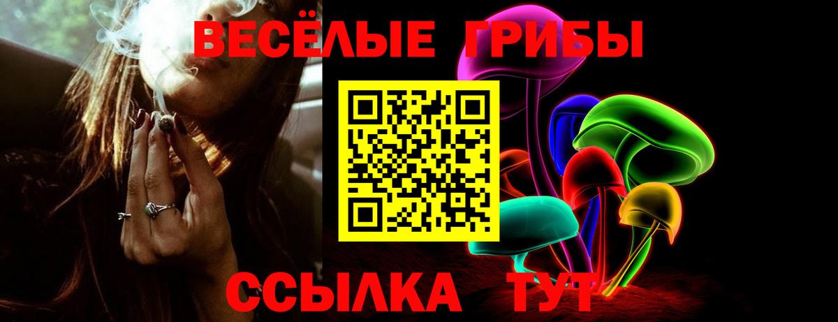 Псилоцибиновые грибы Cubensis  Псилоцибиновые грибы ЛСД  Кириши  Вход с VPN 