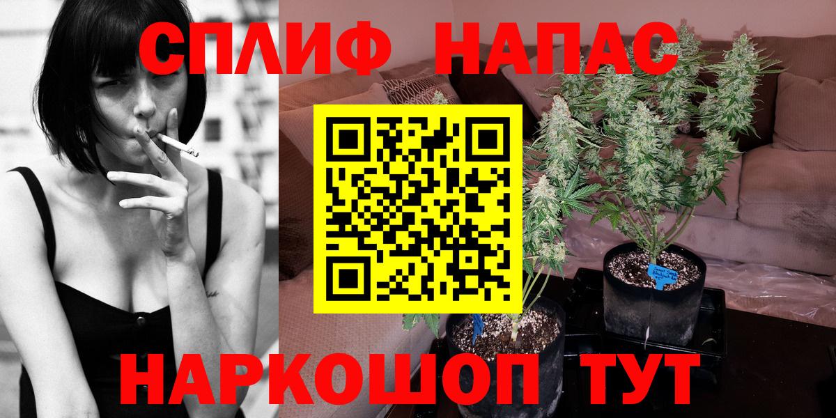 МАРИХУАНА Bruce Banner Кириши